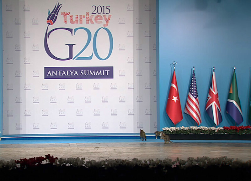 ��ֻ؈����G20���(hu��)��(hu��)��(ch��ng) �@�⡰؈������